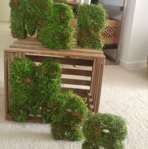 Mr. & Mrs. Moss Letters